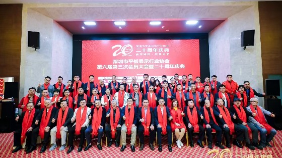 南宫NG28相信品牌力量科技受邀参加深圳市平板显示行业协会（SDIA）第六届第四次理事会、第六届第三次会员大会暨二十周年庆典